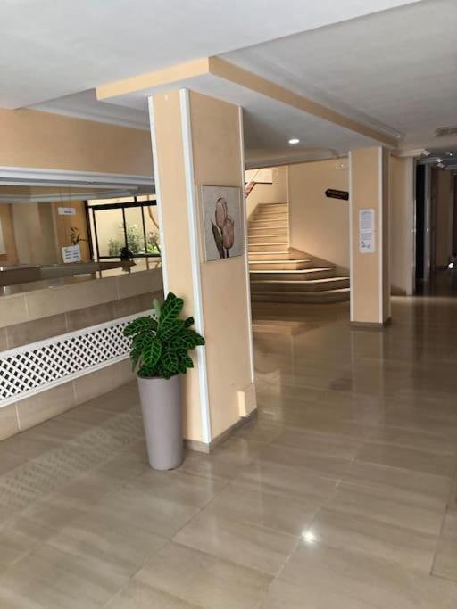 Apartament Sunset Aliss Puerto de Santiago  Exterior foto